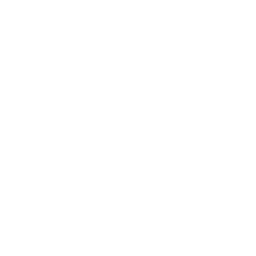 Aliada heart white logo